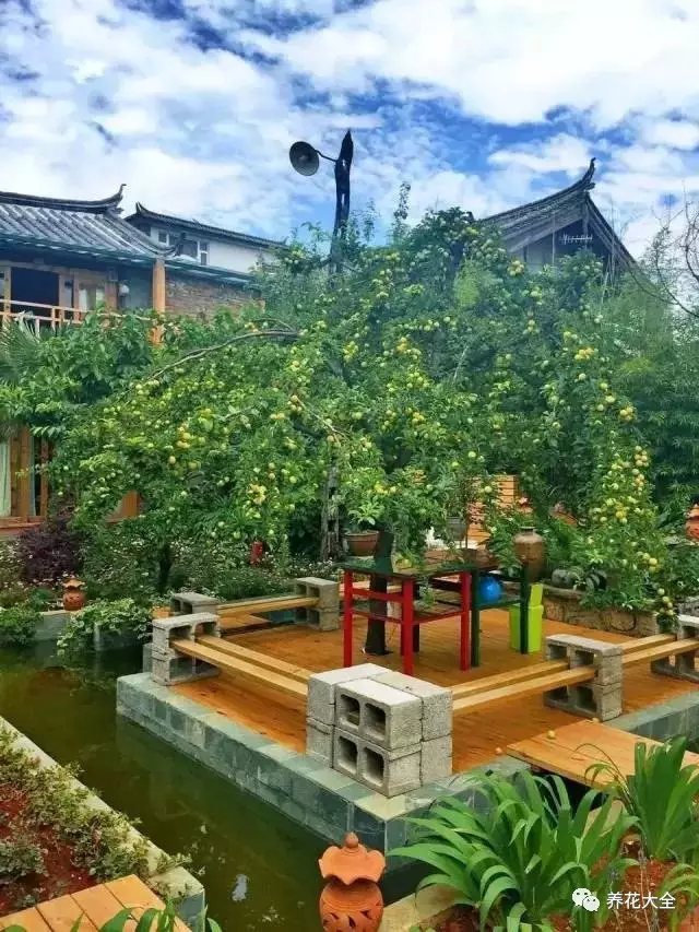 院中央的水池上，是一個(gè)絕妙的納涼之地。午后熱意襲來(lái)，一個(gè)椅子，一張方桌泡，一壺好茶，在樹下乘個(gè)涼、打個(gè)盹。