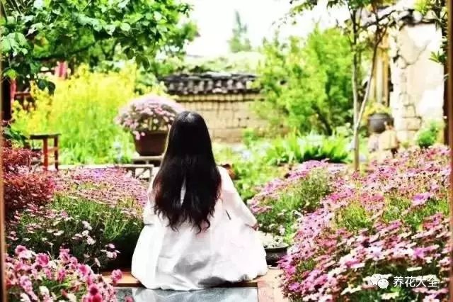 在園中靜坐，對(duì)這里的一切生命說一聲早安。