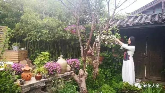 這里的生活愜意的不可挑剔，但是照顧著這滿園花草并非易事。修剪、施肥、除草，美好的背后，是許許多多繁瑣細(xì)節(jié)。