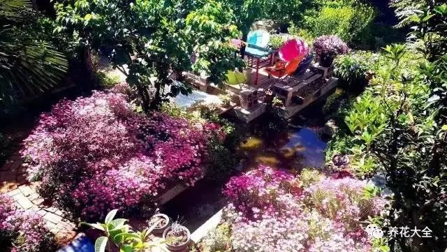 這里的生活愜意的不可挑剔，但是照顧著這滿園花草并非易事。修剪、施肥、除草，美好的背后，是許許多多繁瑣細(xì)節(jié)。