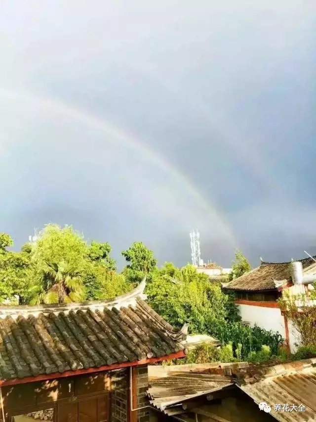 雨后的天空，屋檐上一道彩虹劃過。為了不錯(cuò)過這個(gè)珍貴的瞬間，涵雪還給自己屋內(nèi)裝上透明玻璃屋頂。