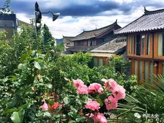 她在二樓搭建了長(zhǎng)長(zhǎng)的木質(zhì)長(zhǎng)廊，憑欄遠(yuǎn)眺，麗江美景盡收眼底。3