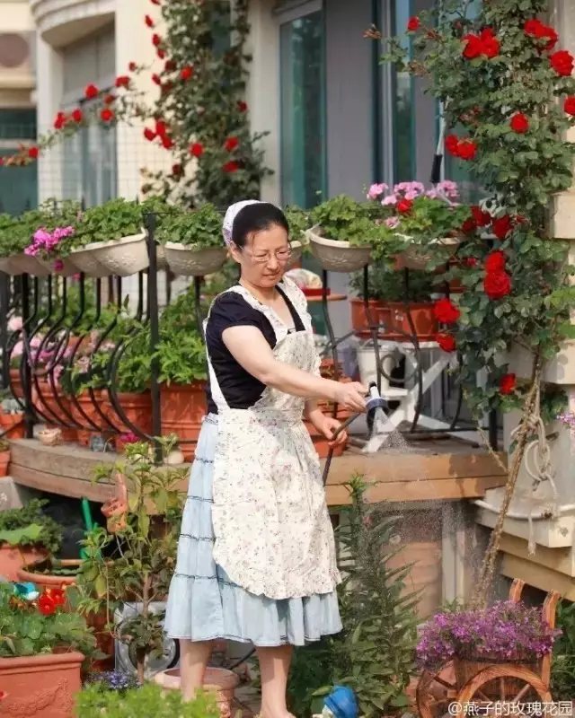 走進(jìn)這里，遇見滿園的芬芳四溢，也遇見主人燕子忙碌的身影。