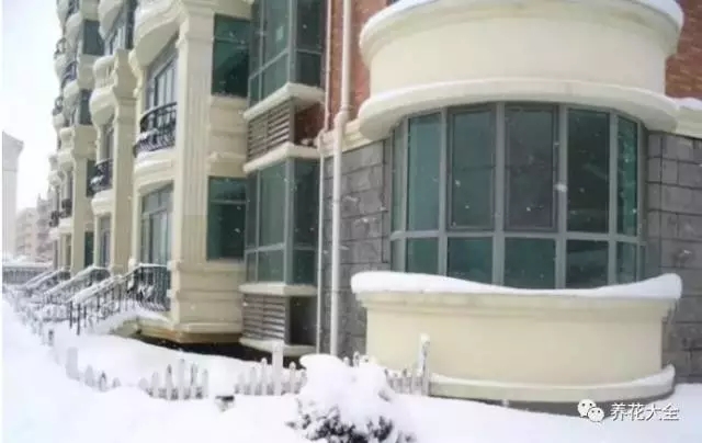 燕子家的房子，看上去像歐洲小洋房。其實(shí)并不是，它只是普通居民樓的一層，外帶一個“園子”20多平，滿地的石頭泥土。