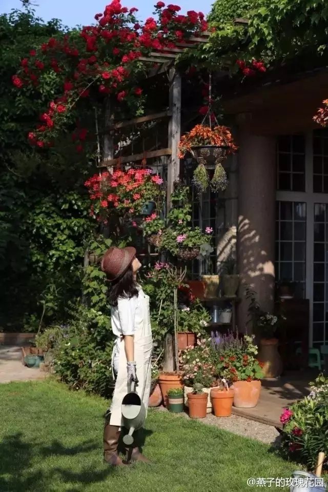 常常早早的起床，給花澆水除草、打理園子。然后估摸著時間給孩子做早飯、送她上學(xué)做完這些，再匆匆趕去上班。