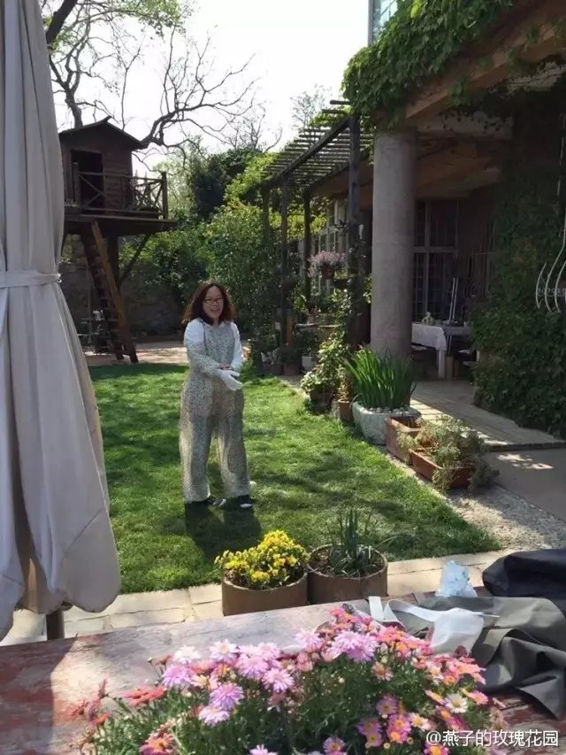 工作回來的燕子，總是在花草件忙碌著。她還在院中建起了一個小樹屋，沒事的時候登上高處，花園景色盡收眼底。