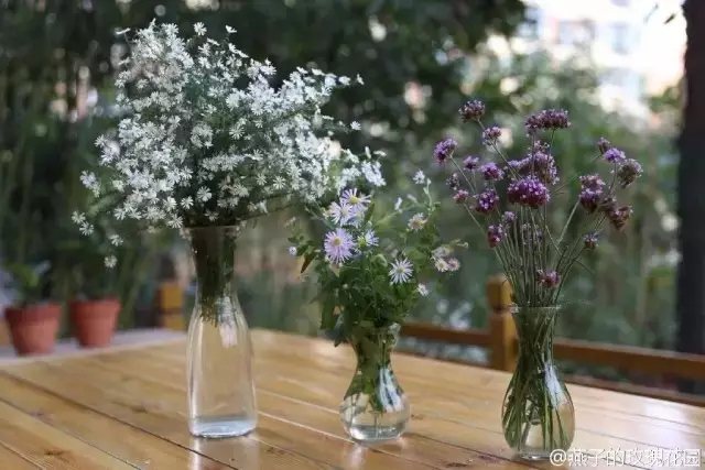 從種花小白，到把自己的花園管理的井井有條，她付出了多少，我們不知道。但是她的收獲，我們卻能從她哪張快樂的笑臉上看到。