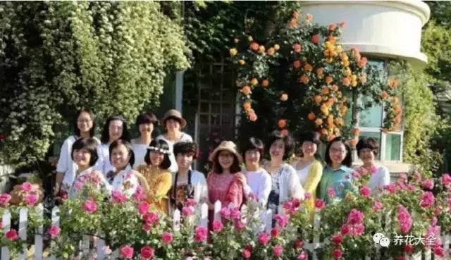 空閑時，約三倆好友，在園子里喝茶、吃甜點(diǎn)、談心。