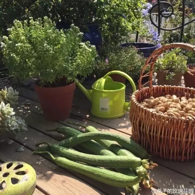 她便可以為家人們做上健康又美味的菜肴。