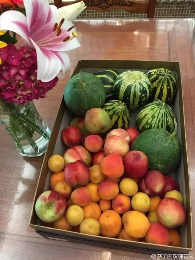 也能把自己豐收的喜悅分享給好友或鄰居。2