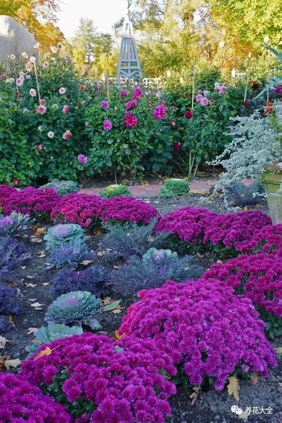 清晨早起，呼吸著新鮮的空氣， 聽著耳邊小鳥嘰嘰喳喳， 帶著露水的各種花， 迎著朝陽開得正好。2