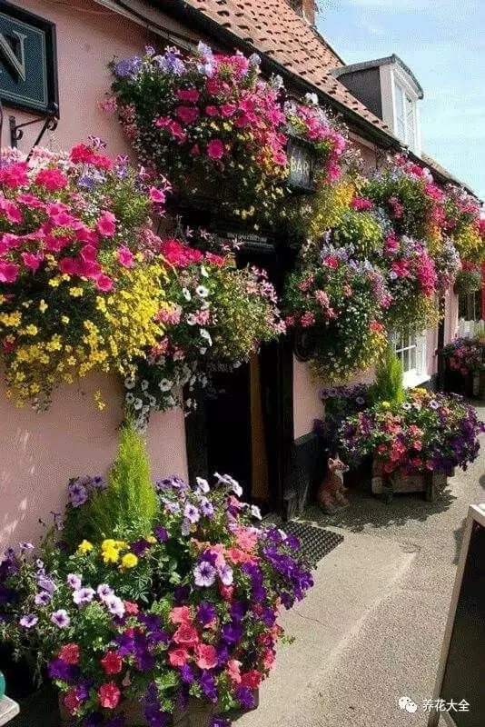 清晨早起，呼吸著新鮮的空氣， 聽著耳邊小鳥嘰嘰喳喳， 帶著露水的各種花， 迎著朝陽開得正好。3