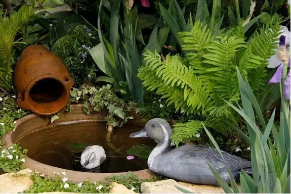 午飯的時(shí)候， 直接在菜地里摘下鮮嫩嫩的小蔬菜， 從雞窩拿出熱乎乎剛下的雞蛋， 攤一鍋香噴噴的小蔥雞蛋餅。