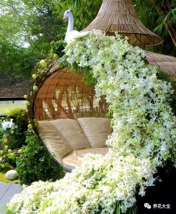 午飯后，在庭院的躺椅上， 慢慢地讀一本未看完的書， 又或者是趁著涼涼的微風(fēng)， 稍微小憩一陣子， 微風(fēng)中傳來淡淡的花香。1