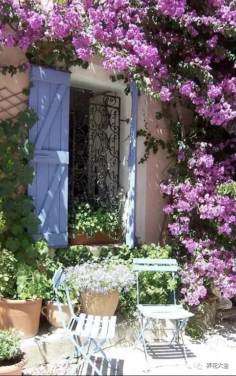 午飯后，在庭院的躺椅上， 慢慢地讀一本未看完的書， 又或者是趁著涼涼的微風(fēng)， 稍微小憩一陣子， 微風(fēng)中傳來淡淡的花香。2