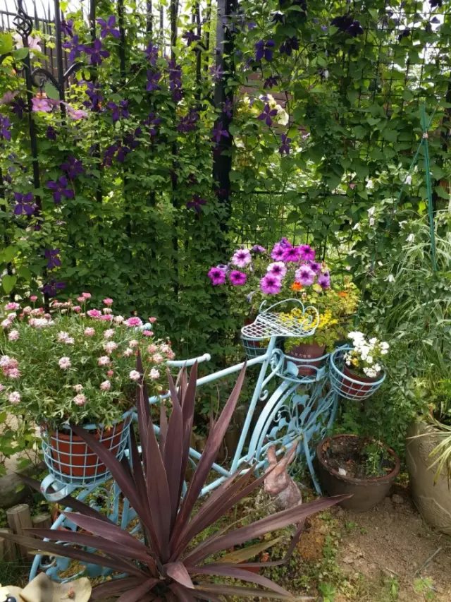 在這樣一個(gè)院子里， 你可以做任何你想做的事情，。 在短暫的人生中，趁著時(shí)光還在， 把年輕時(shí)候的遺憾，全都一一補(bǔ)回來。2