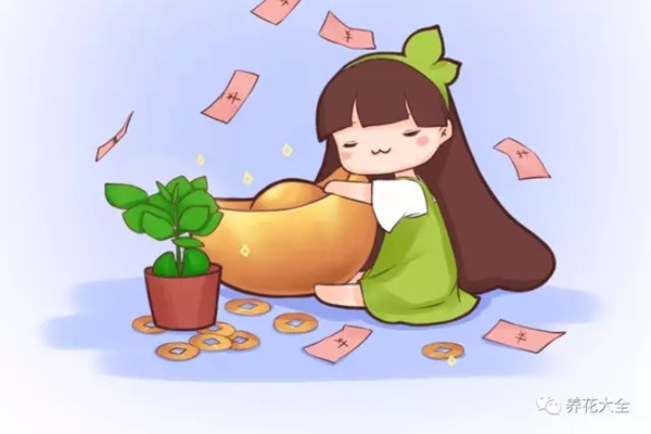 這10種招財(cái)花卉，有錢人都在種