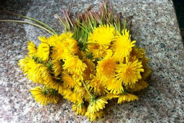 這些花還能當藥用，小病小災(zāi)全走光！