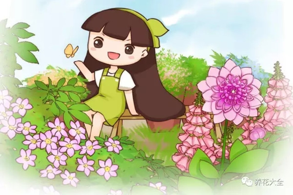 我想種這些爬藤花，都想瘋了