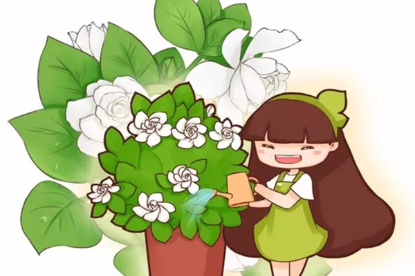 這20種常見(jiàn)花卉的澆水方法，一定要學(xué)