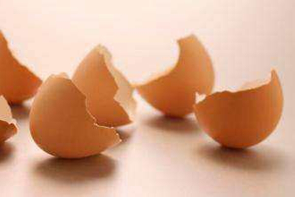 雞蛋養(yǎng)花的正確使用方法，保你花大色艷，還不招蟲(chóng)子