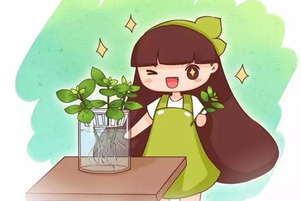 掐根枝扔水里，奇跡發(fā)生了