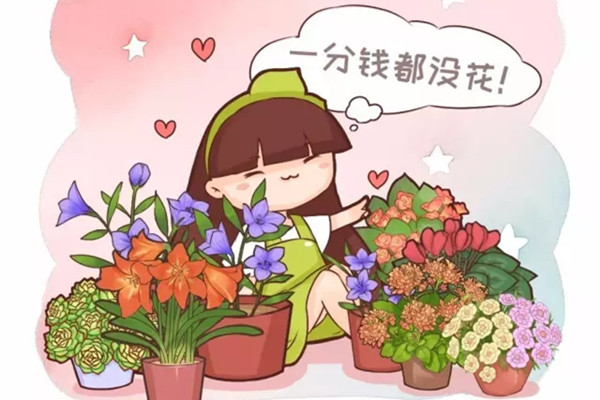 這樣養(yǎng)花，1分錢都不花，服了