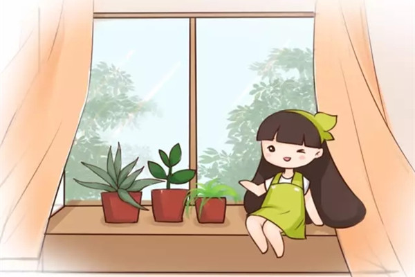 養(yǎng)花不能太勤快，吊蘭綠蘿…越賤養(yǎng)越爆盆