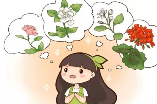 這些香味十足的花，放在家里最合適了