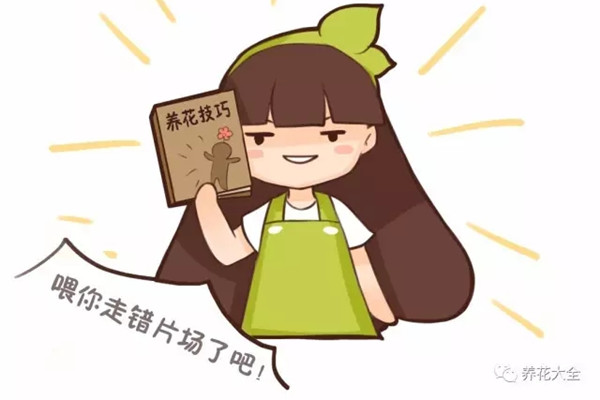 這幾種小藥片，拿來養(yǎng)花真神奇