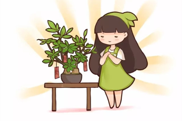 30種植物的風(fēng)水意義，養(yǎng)花人必看