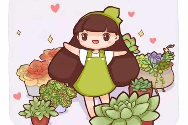 一見多肉誤終生，從此入了養(yǎng)花坑