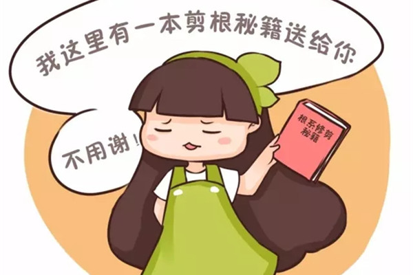 多肉和發(fā)財樹爛根？別扔，剪就可以