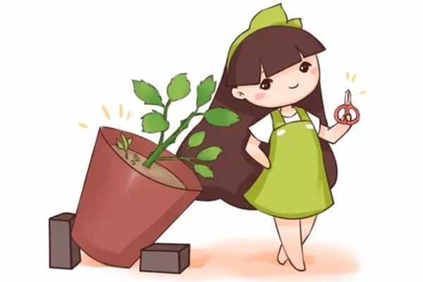 養(yǎng)花要學(xué)會這些小技巧，你也可以是養(yǎng)花達(dá)人