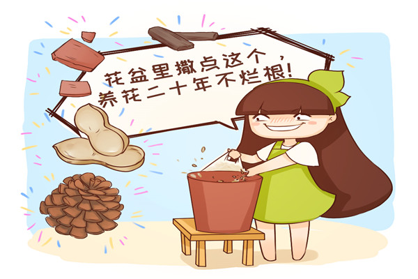 花爛根必死，撒點(diǎn)這個(gè)，卻能活20年！