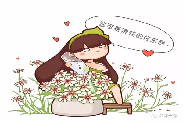 別人扔的小東西，拿來(lái)喂花，長(zhǎng)瘋了！