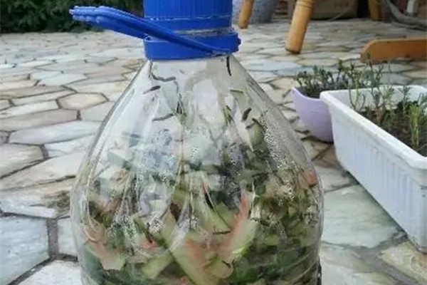 西瓜皮別扔，拿來漚肥，好用不花錢！