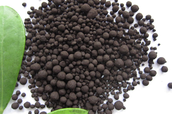 陽臺(tái)蔬菜怎么施肥