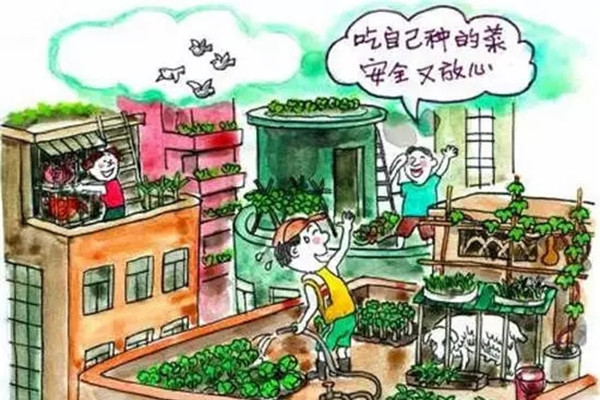 陽臺(tái)種菜試過嗎？都市菜農(nóng)STYLE走起！