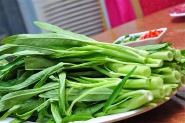 「陽臺(tái)種菜視頻」通心菜