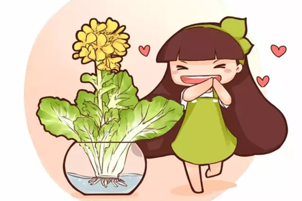 水培蔬菜開了花，竟然這么美！感覺以前虧了100萬