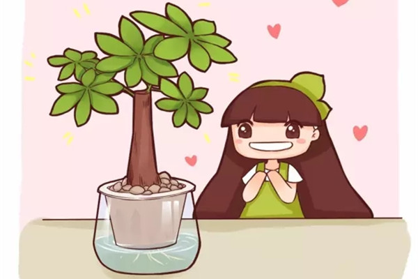 西瓜黃瓜...再也不用買，陽(yáng)臺(tái)種點(diǎn)就吃不完