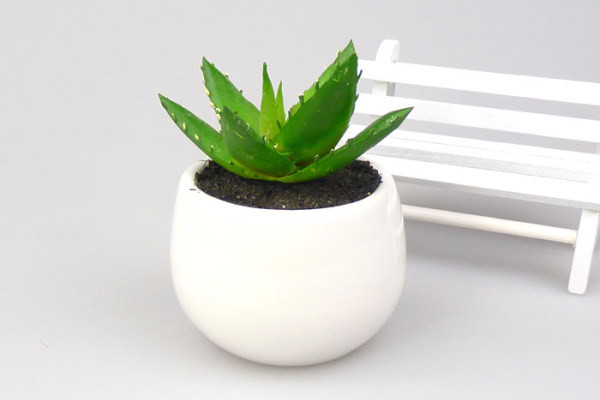 不夜城爛根怎么辦