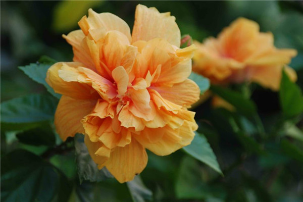 扶?；ㄇ锒趺捶乐孤淅俾淙~