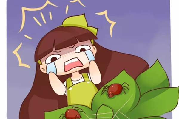 養(yǎng)花最怕的就是這個(gè)…