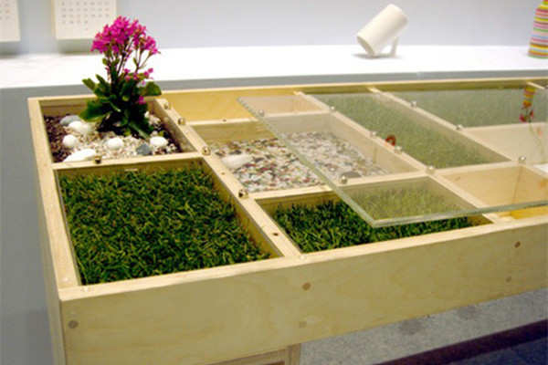 廢棄家具養(yǎng)花草美翻你的家園