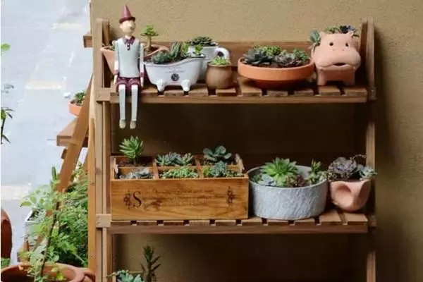 看完這些才知道原來自己還不會養(yǎng)花