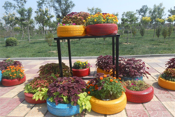 廢舊輪胎竟然可以那么美