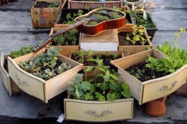 舊抽屜、木盒子不要扔，用它種花很漂亮