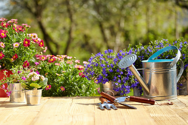 養(yǎng)花玩園藝，就得玩點(diǎn)不一樣的！不信，你看